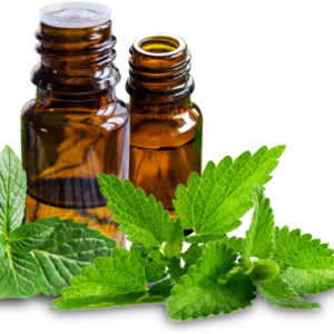 Mint Oil