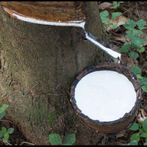 Natural Rubber Latex