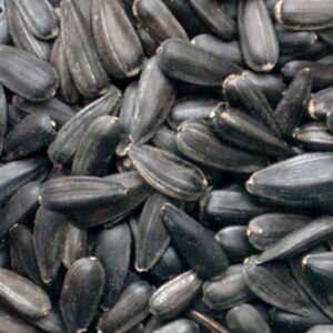 Sunflower Seeds