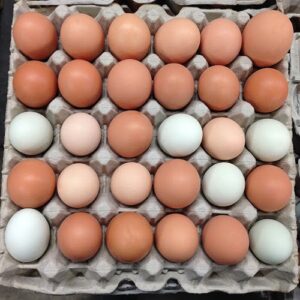 White And Brown Chicken Eggs